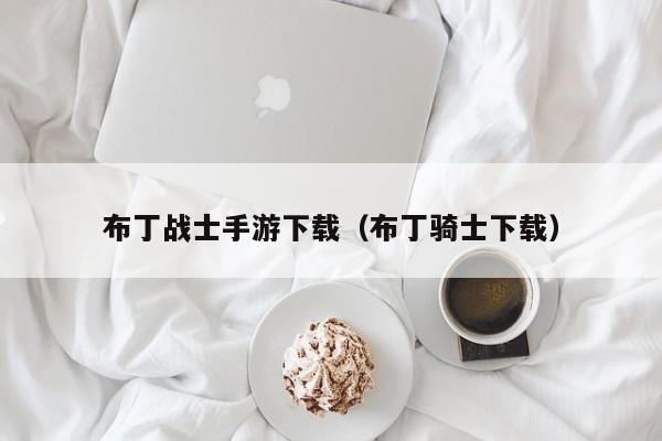 布丁战士手游下载（布丁骑士下载）