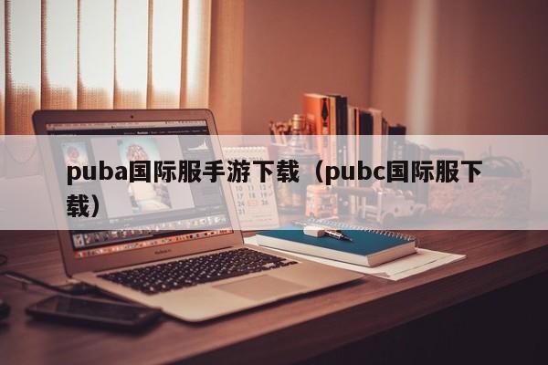 puba国际服手游下载（pubc国际服下载）