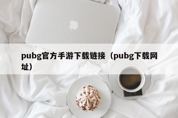 pubg官方手游下载链接（pubg下载网址）