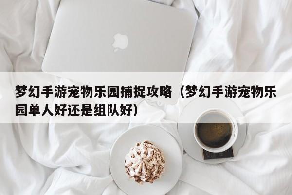 梦幻手游宠物乐园捕捉攻略（梦幻手游宠物乐园单人好还是组队好）