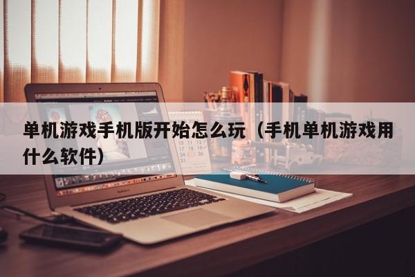 单机游戏手机版开始怎么玩（手机单机游戏用什么软件）