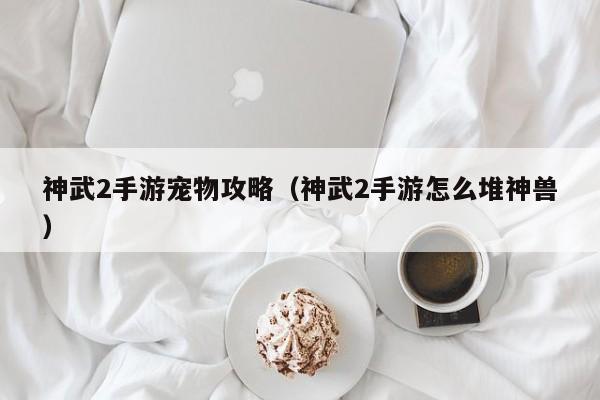 神武2手游宠物攻略（神武2手游怎么堆神兽）